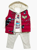 Комплект для мальчика: кофточка, штанишки и болоньевый жилет на синтепоне