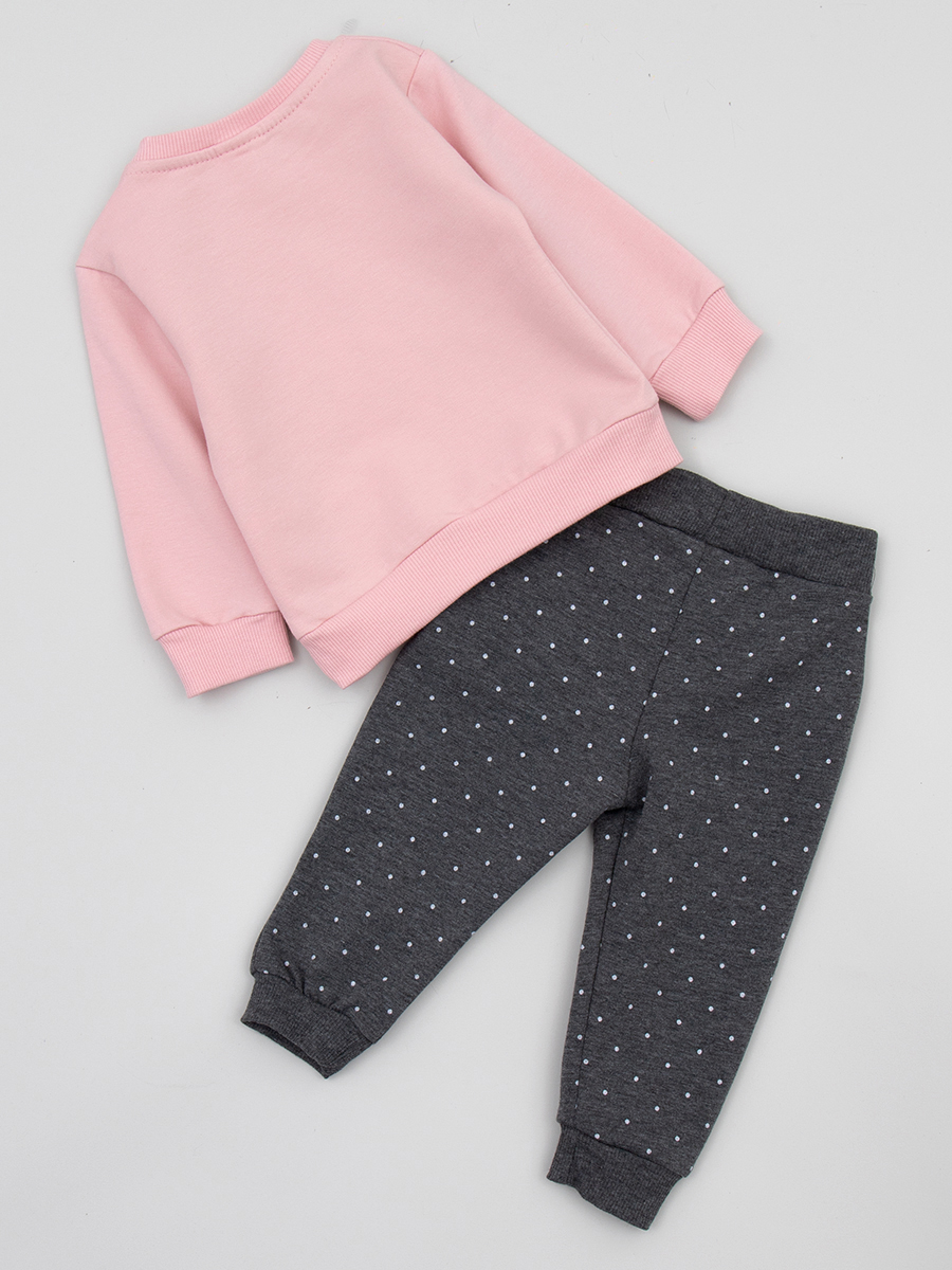 Комплект с начесом для девочки: толстовка и штанишки, цвет: розовый