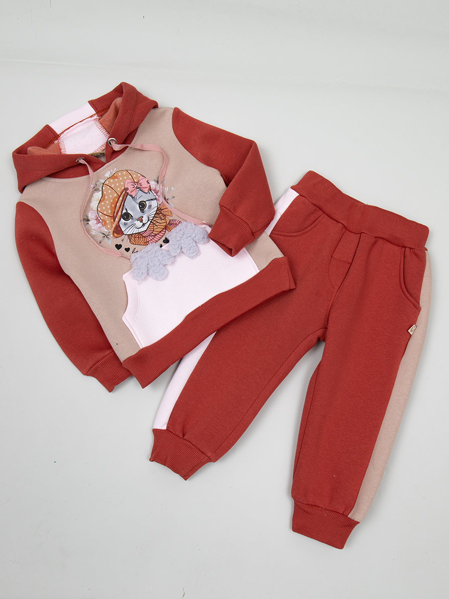 Комплект с начесом для девочки: толстовка и брюки зауженные, цвет: терракотовый
