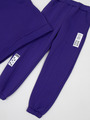 Костюм спортивный с начесом для девочки: толстовка и брюки зауженные, цвет: фиолетовый