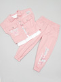 Комплект  для девочки:куртка,брюки спортивные и футболка, цвет: розовый